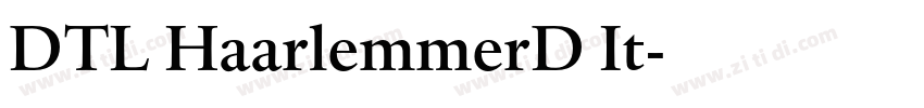 DTL HaarlemmerD It字体转换